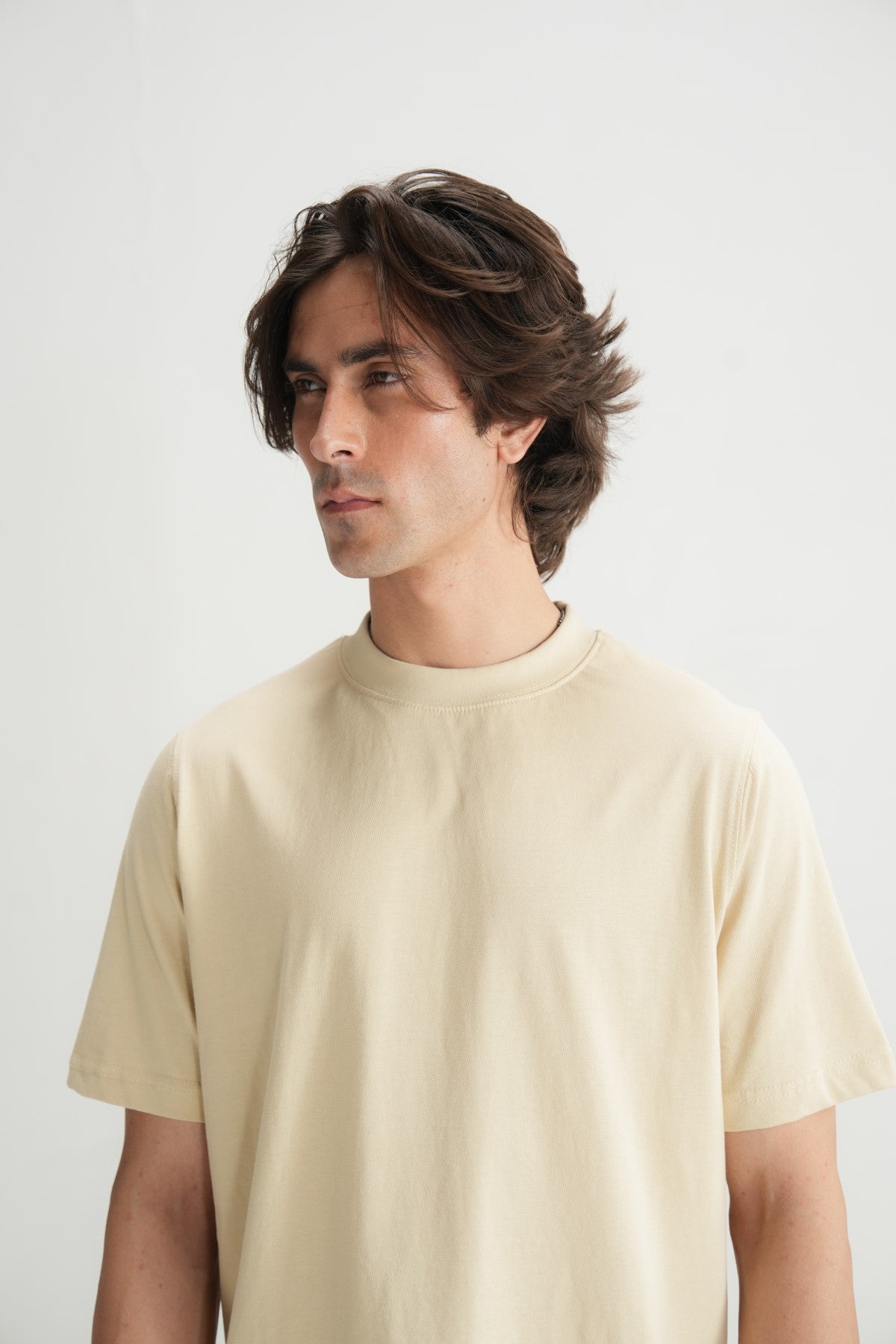 Biscotti T-Shirt Regular Fit Secondary image